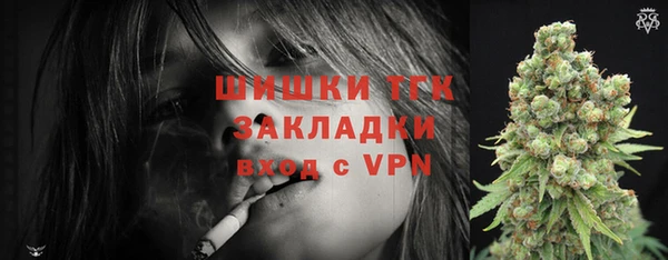 индика Шали