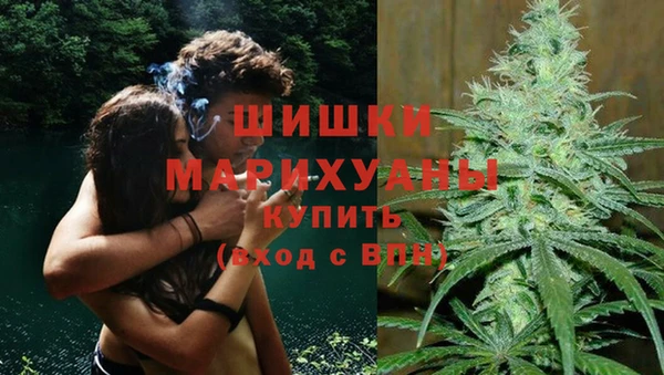 индика Шали