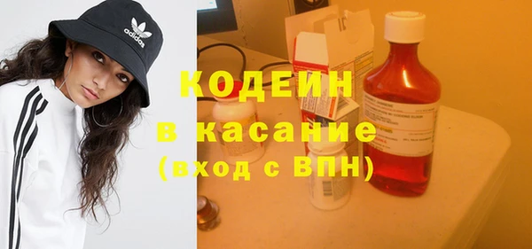индика Шали