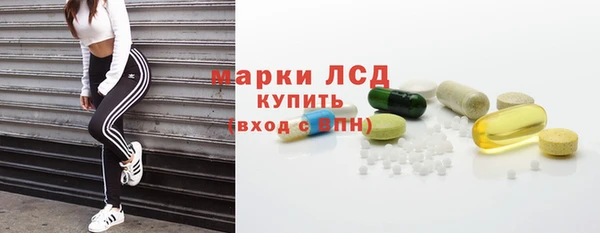 индика Шали