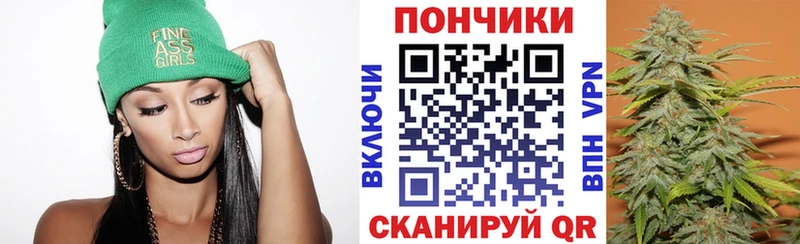 Бошки Шишки сатива  Купить где  Черногорск 